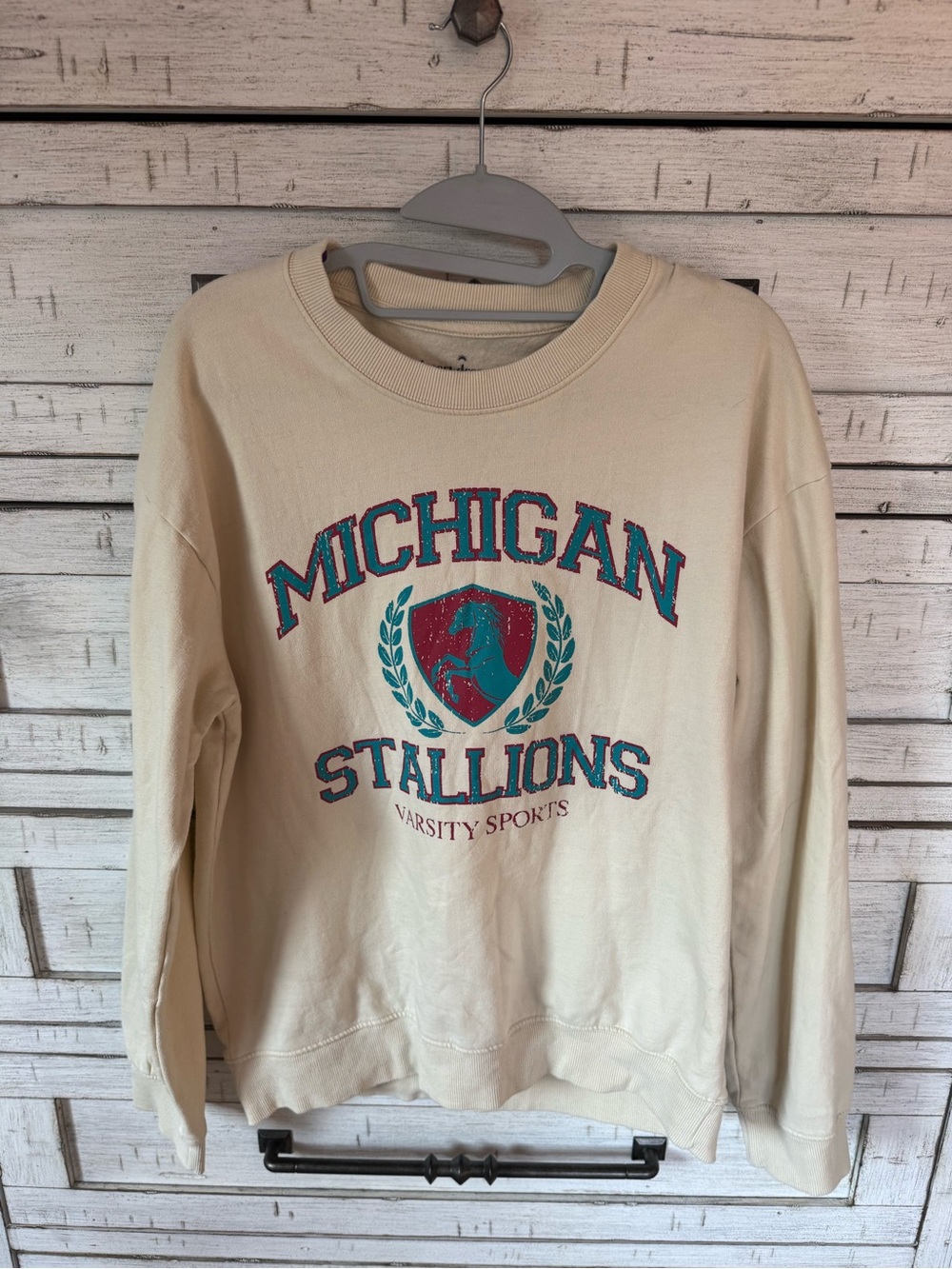 PacSun Cream Michigan Stallions Graphic Sweatshirt